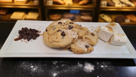 S'mores Protein Cookie